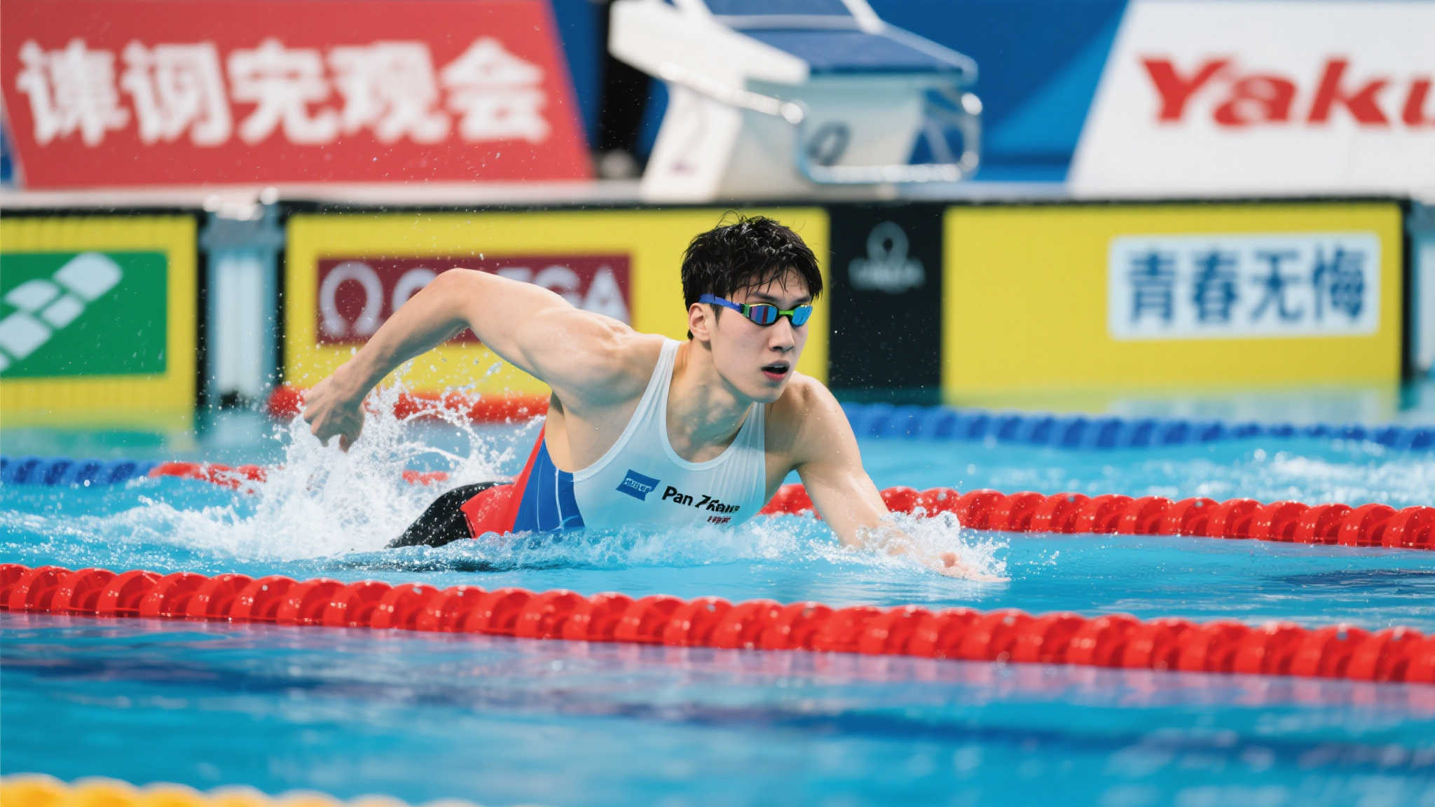 瞩目的NB 瞩目的NB