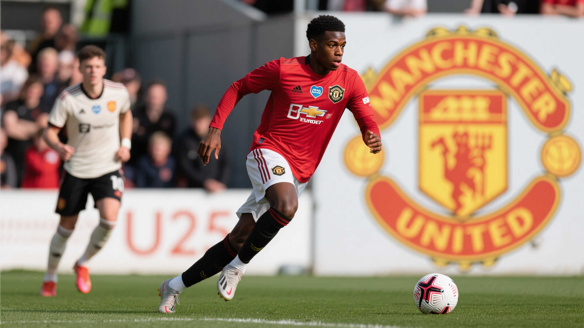 的选择背后 的选择背后