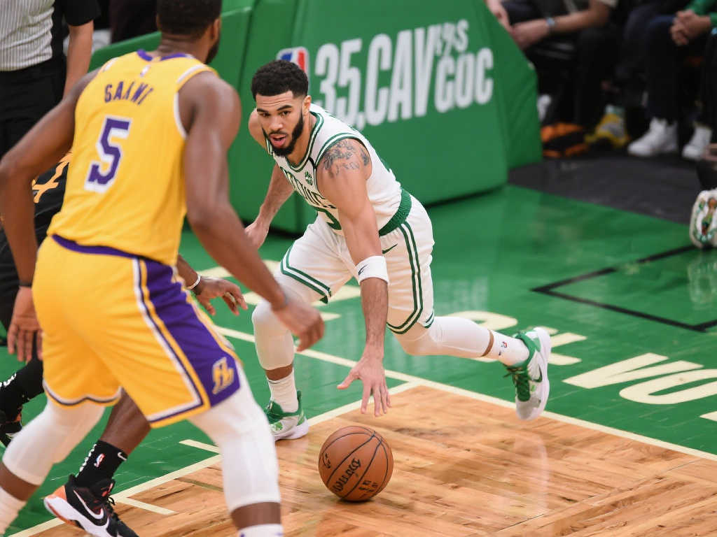 的职业生涯 的职业生涯